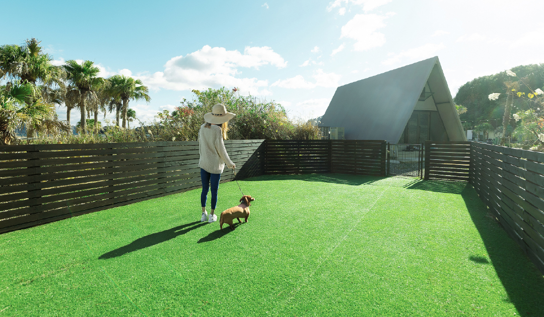 Villa acceptant les chiens